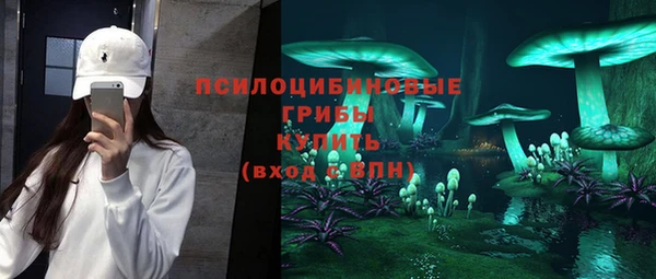 мдпв Абинск