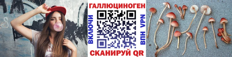 Псилоцибиновые грибы MAGIC MUSHROOMS  Алапаевск 