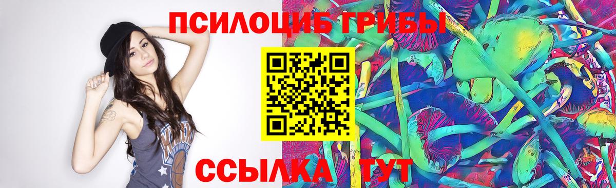 Алапаевск  купить наркотики цена  Псилоцибиновые грибы ЛСД  Вход с VPN  Псилоцибиновые грибы мицелий 